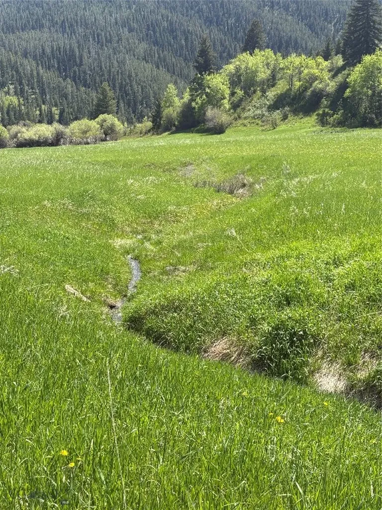 373 Rockhill Road Bozeman MT 59715