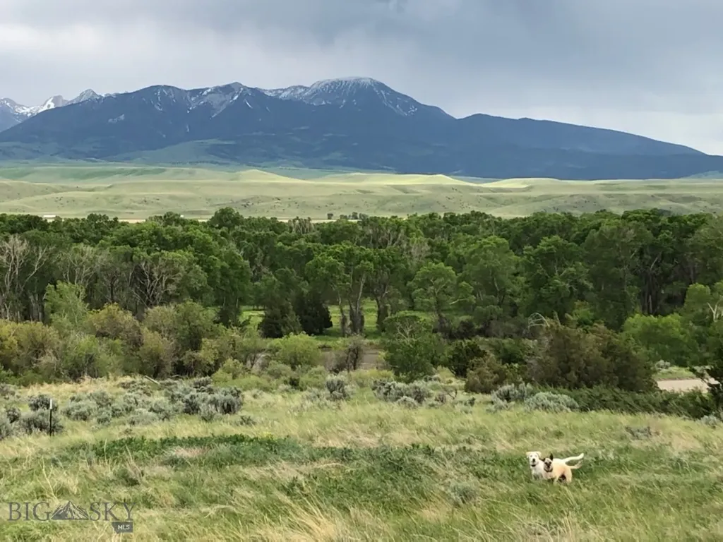 275 Convict Grade Road Livingston MT 59047