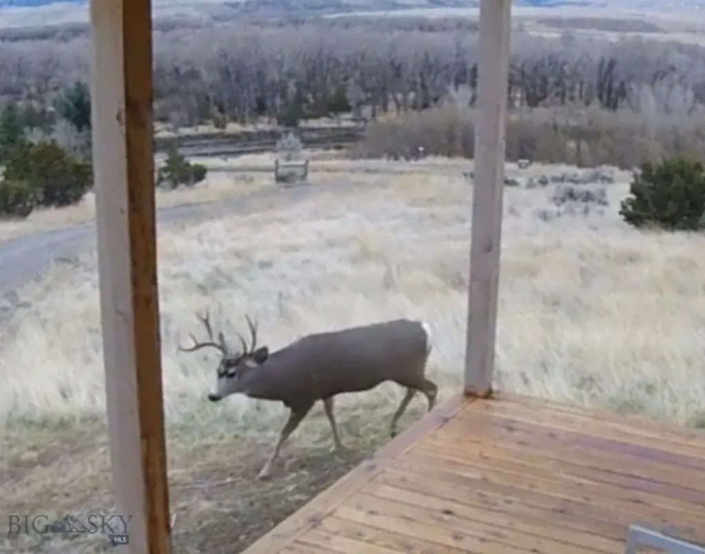 275 Convict Grade Road Livingston MT 59047