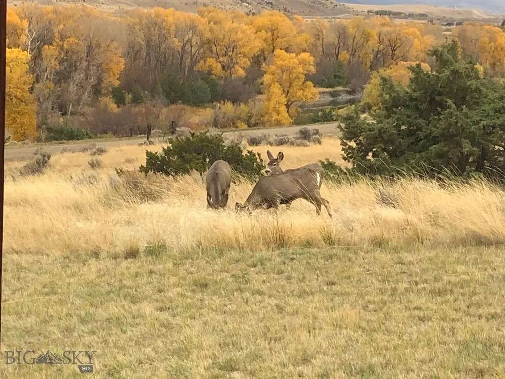 275 Convict Grade Road Livingston MT 59047