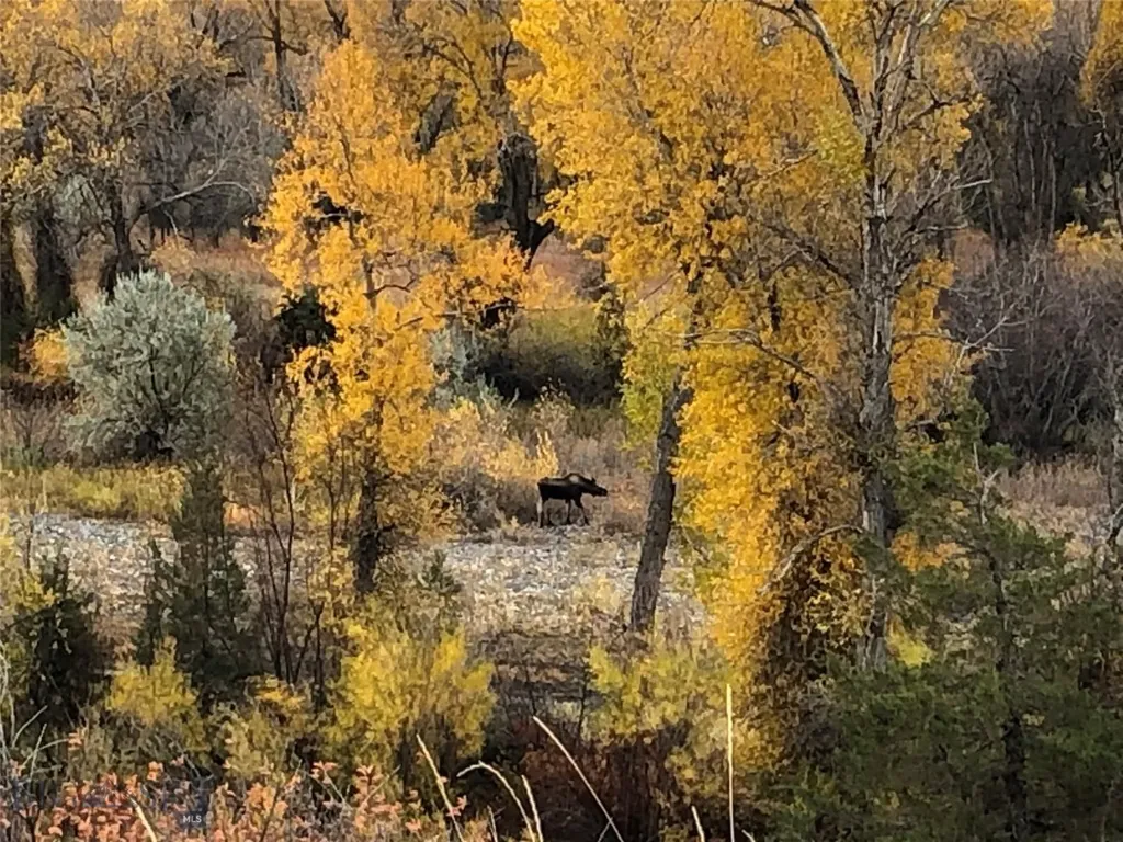275 Convict Grade Road Livingston MT 59047