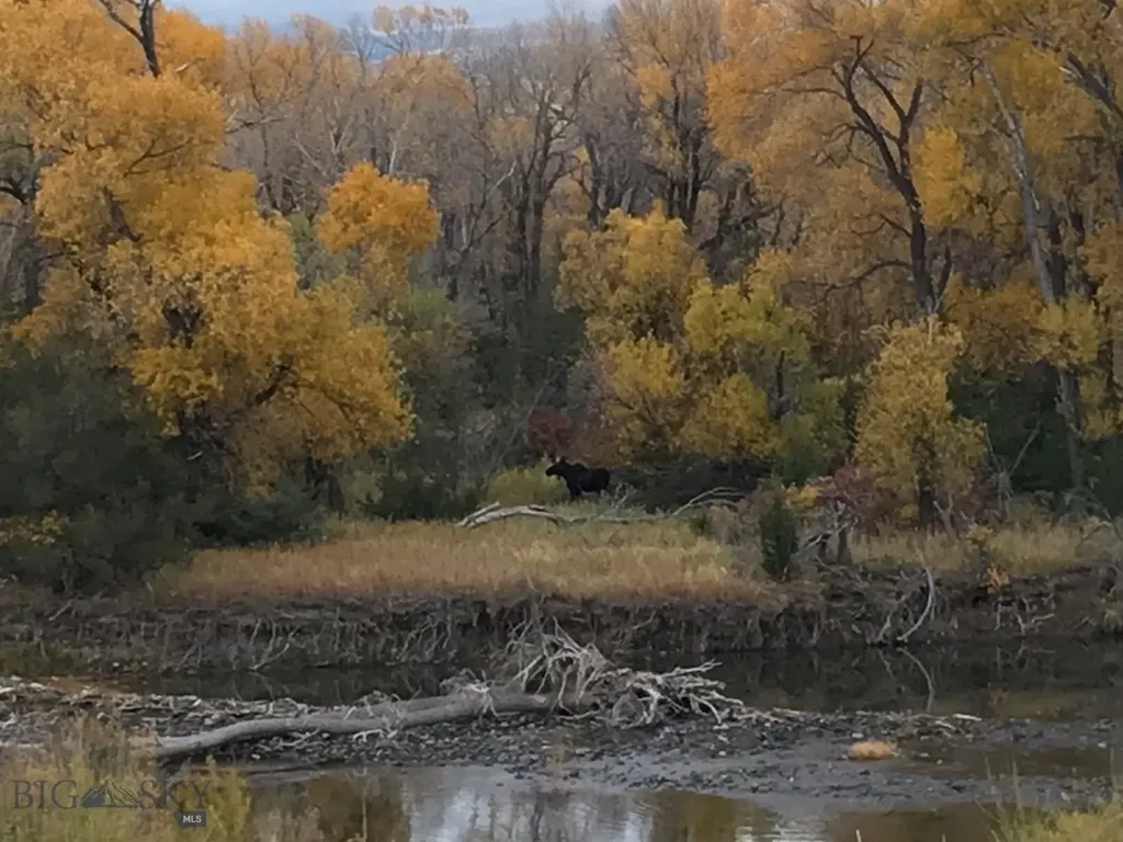 275 Convict Grade Road Livingston MT 59047