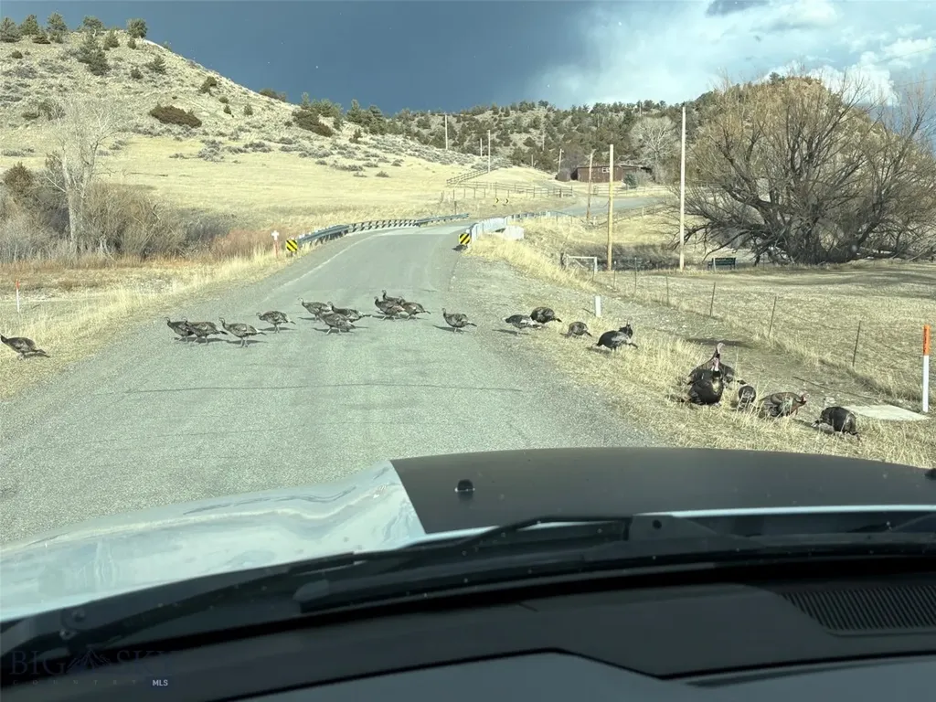 275 Convict Grade Road Livingston MT 59047