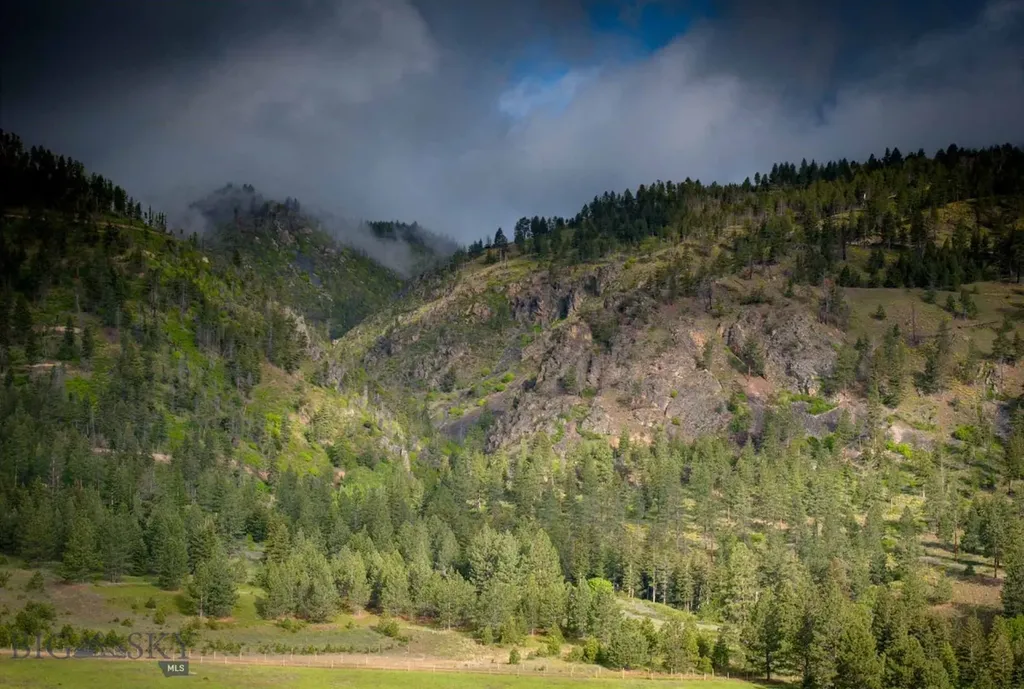 8337 Lamar Trail Lolo MT 59847