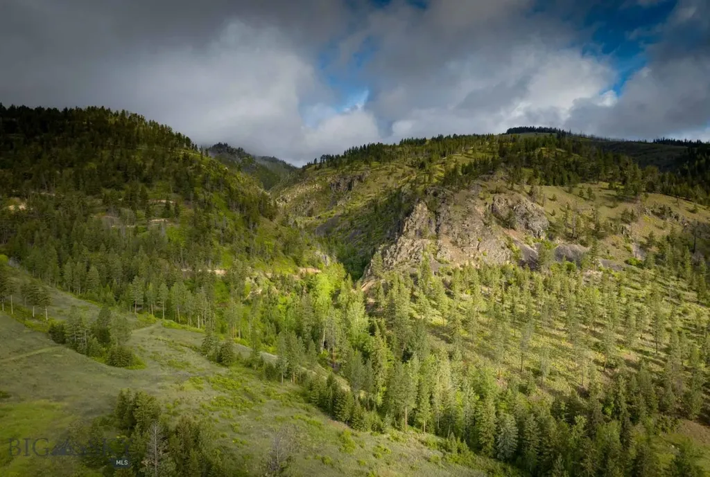 8337 Lamar Trail Lolo MT 59847