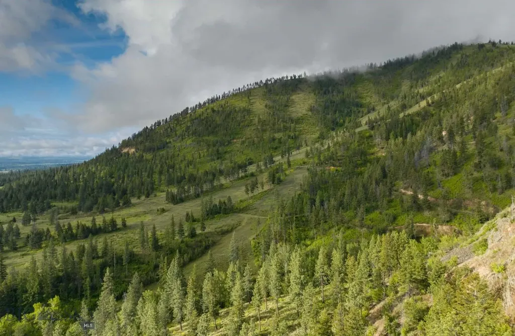 8337 Lamar Trail Lolo MT 59847