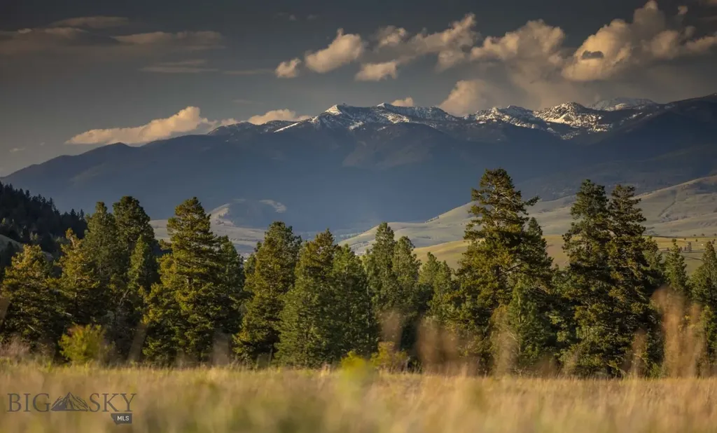 8337 Lamar Trail Lolo MT 59847