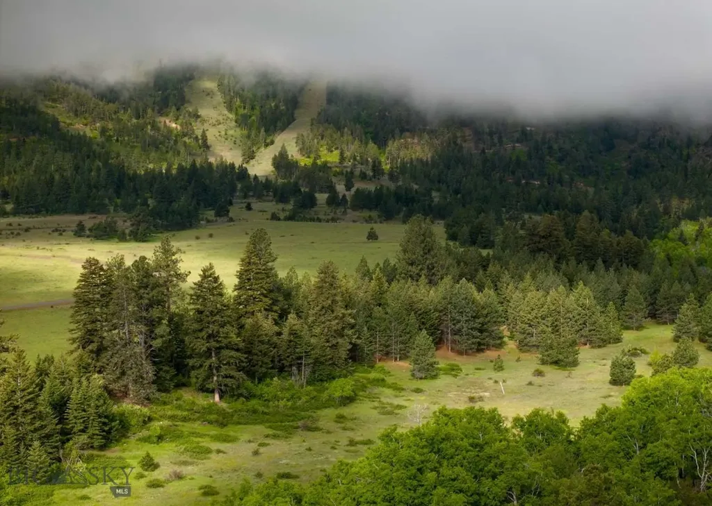 8337 Lamar Trail Lolo MT 59847