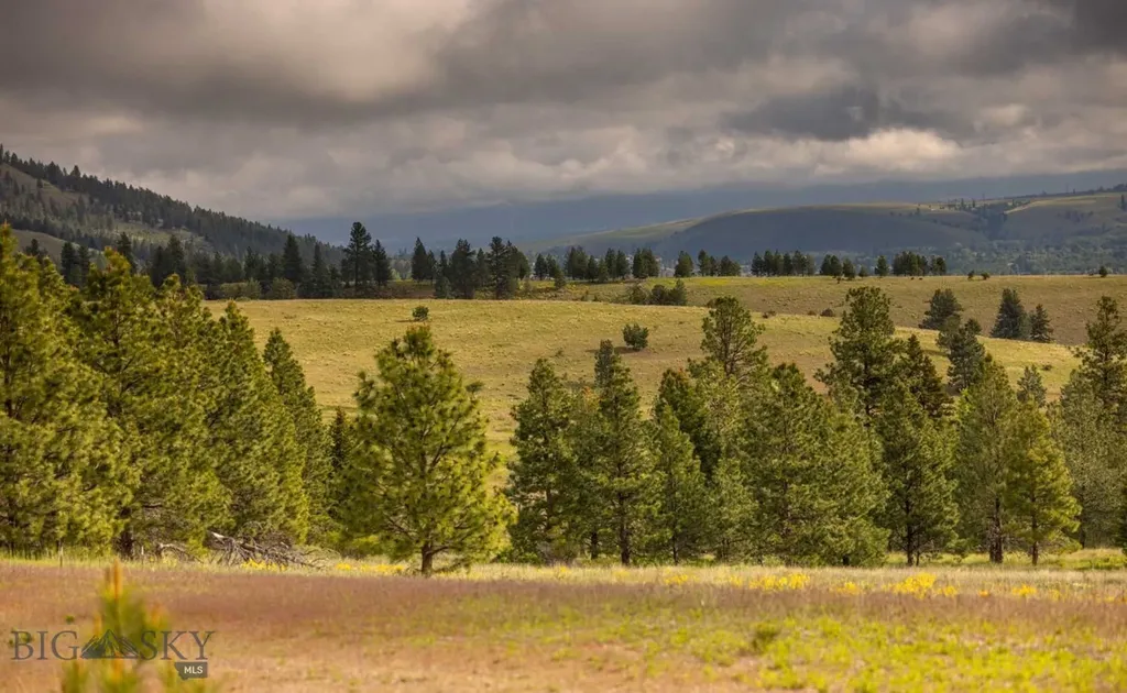 8337 Lamar Trail Lolo MT 59847