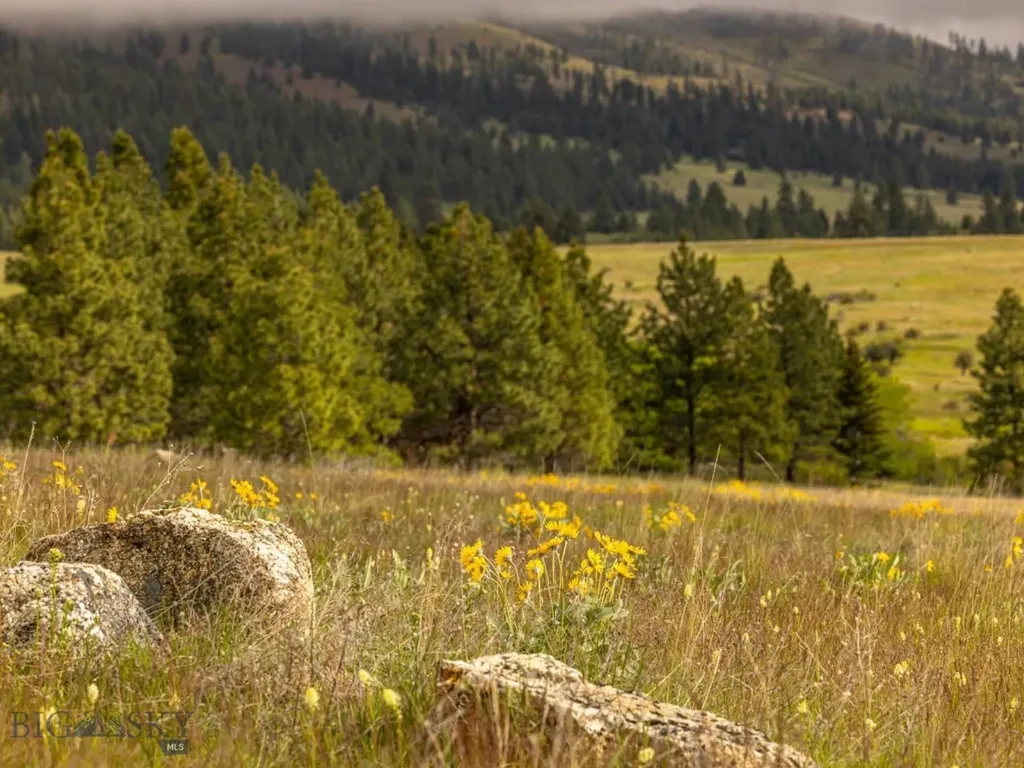 8337 Lamar Trail Lolo MT 59847