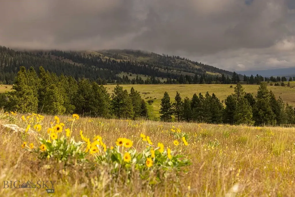 8337 Lamar Trail Lolo MT 59847