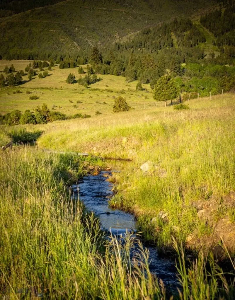 8337 Lamar Trail Lolo MT 59847