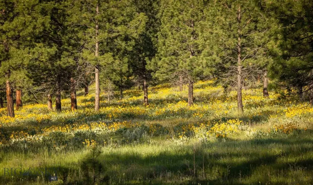 8337 Lamar Trail Lolo MT 59847