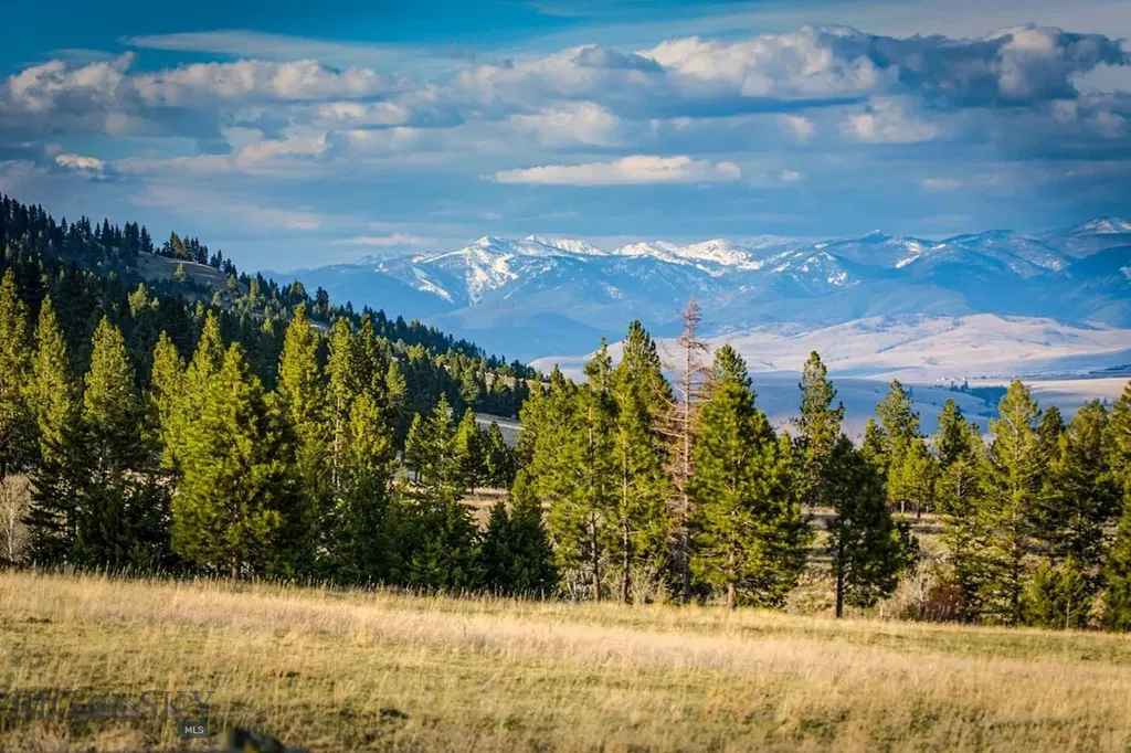 8337 Lamar Trail Lolo MT 59847