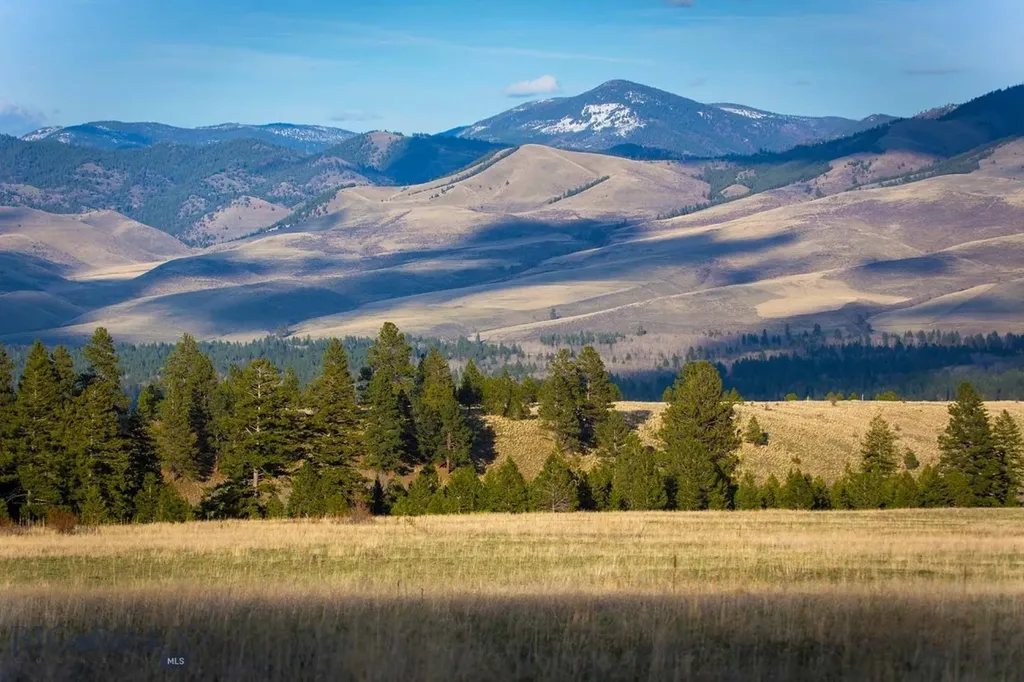 8337 Lamar Trail Lolo MT 59847