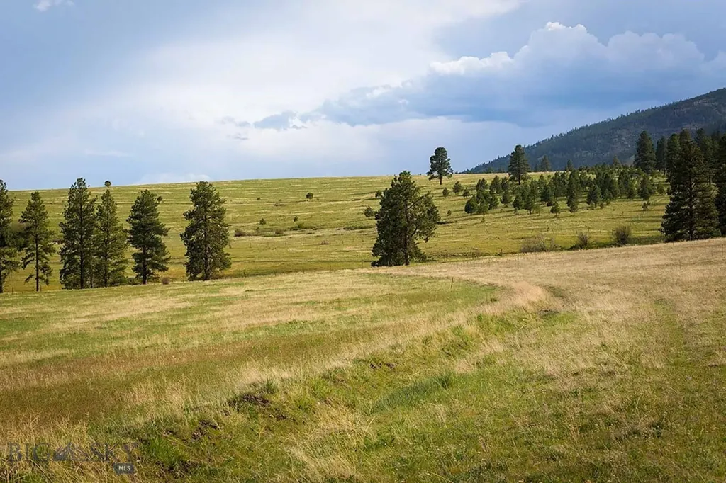 8337 Lamar Trail Lolo MT 59847