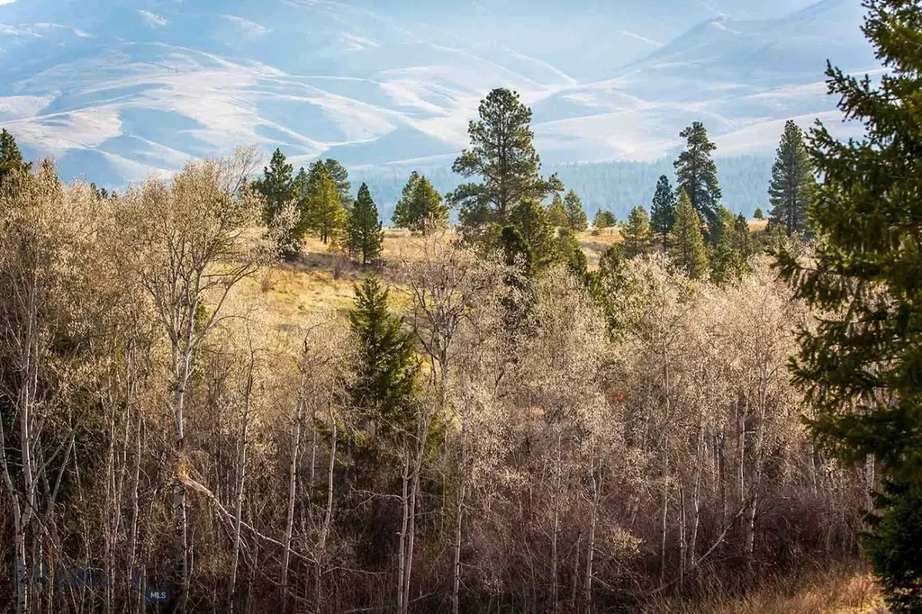 8337 Lamar Trail Lolo MT 59847