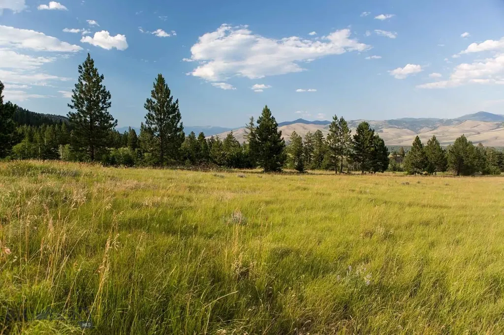 8337 Lamar Trail Lolo MT 59847