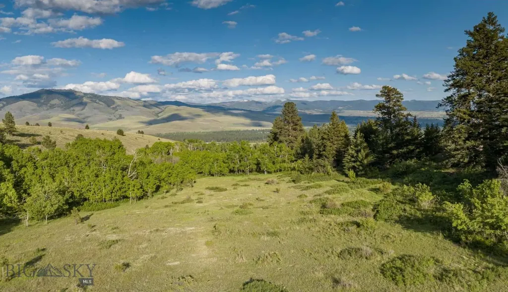 8337 Lamar Trail Lolo MT 59847