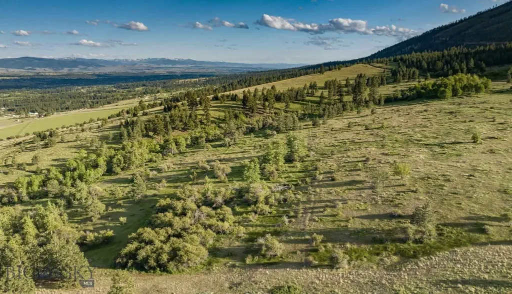 8337 Lamar Trail Lolo MT 59847