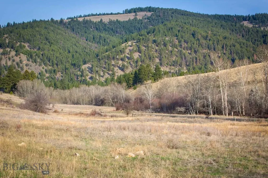 8337 Lamar Trail Lolo MT 59847