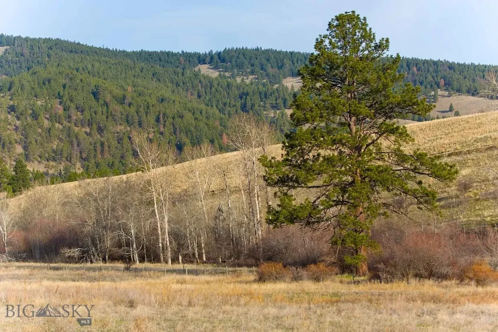 8337 Lamar Trail Lolo MT 59847