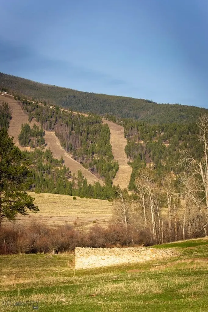 8337 Lamar Trail Lolo MT 59847