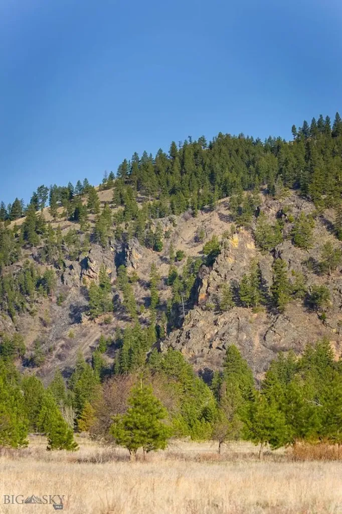 8337 Lamar Trail Lolo MT 59847