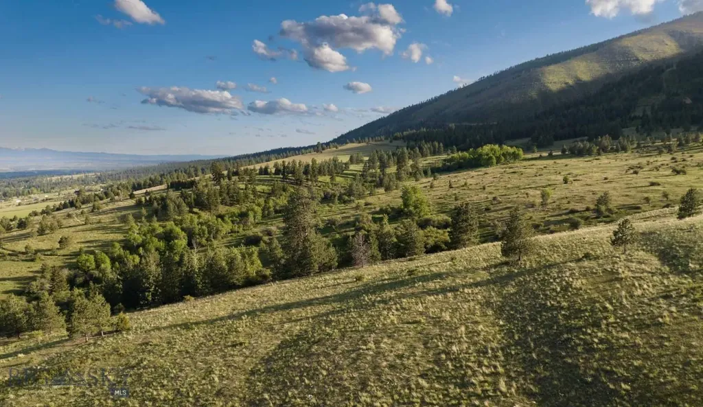 8337 Lamar Trail Lolo MT 59847