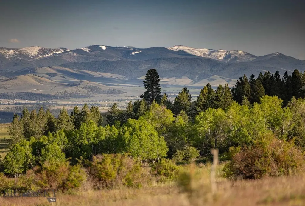 8337 Lamar Trail Lolo MT 59847