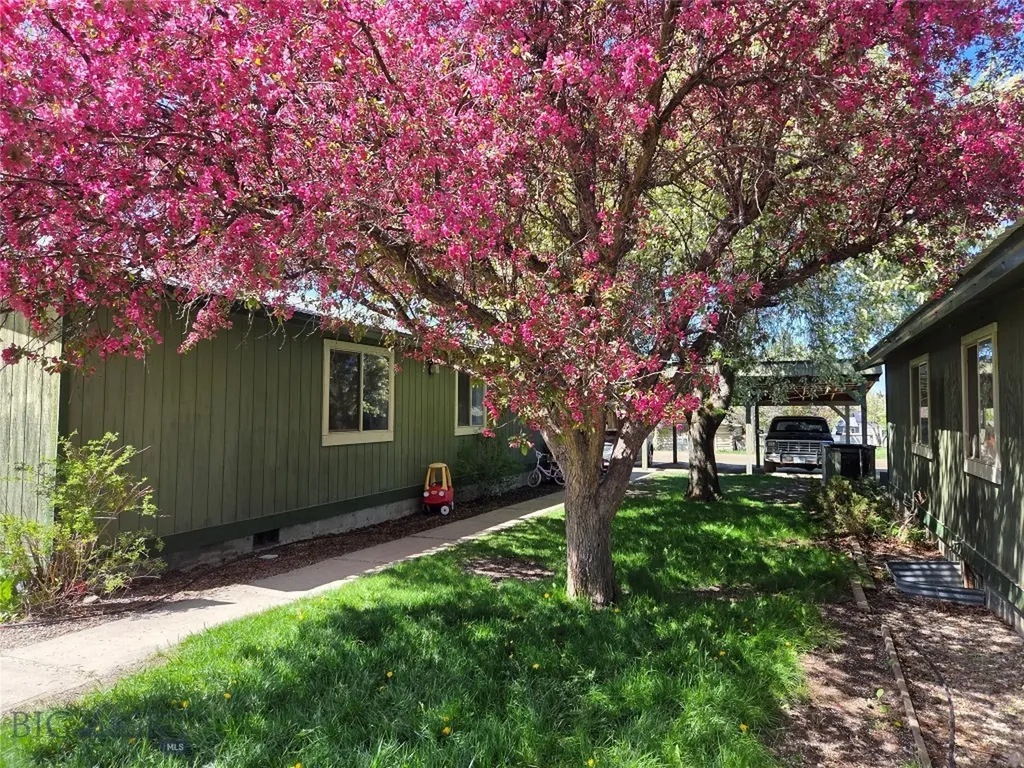 2 Kearney Lane Sheridan MT 59749
