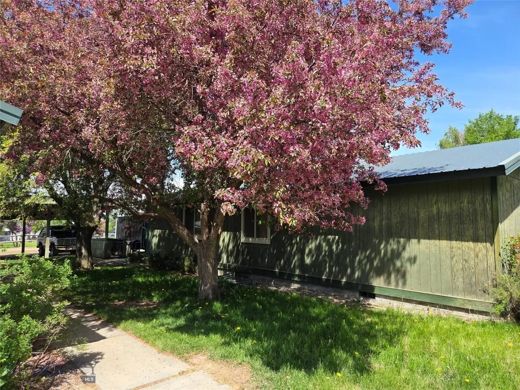 2 Kearney Lane Sheridan MT 59749