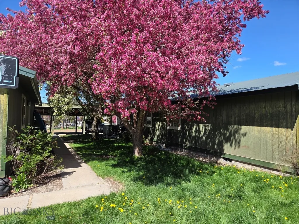 2 Kearney Lane Sheridan MT 59749
