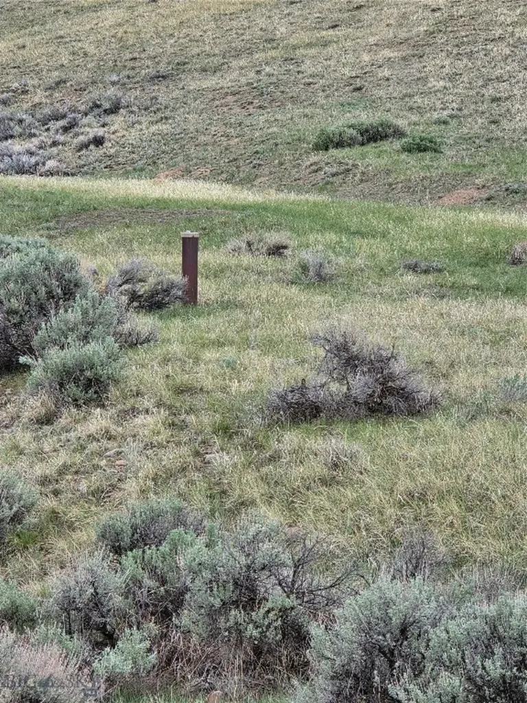 710 Gamblers Run Dillon MT 59725