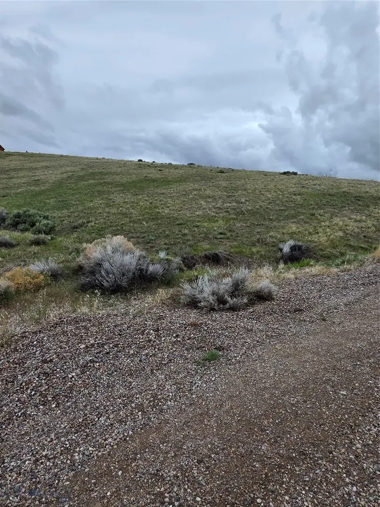 710 Gamblers Run Dillon MT 59725