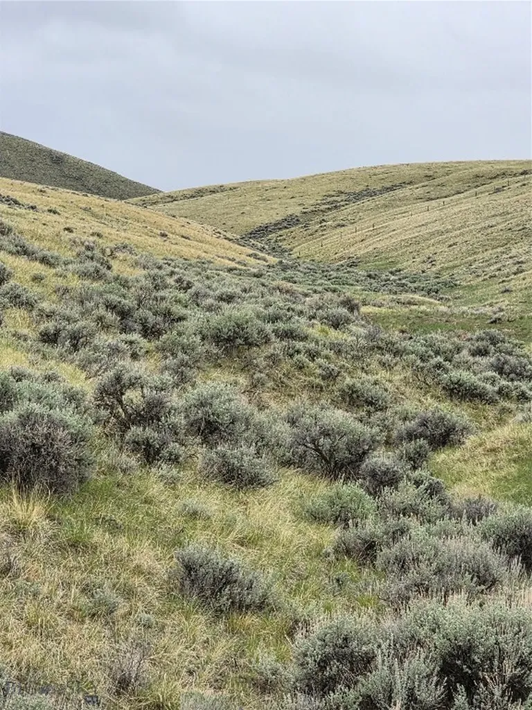 710 Gamblers Run Dillon MT 59725