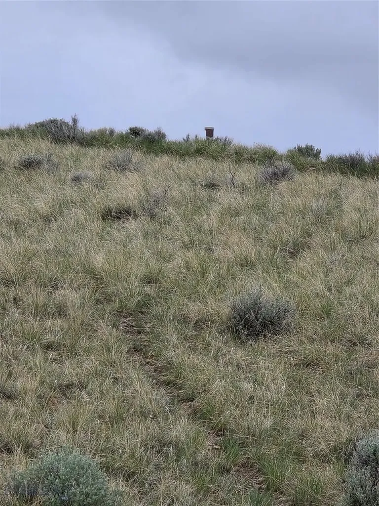 710 Gamblers Run Dillon MT 59725
