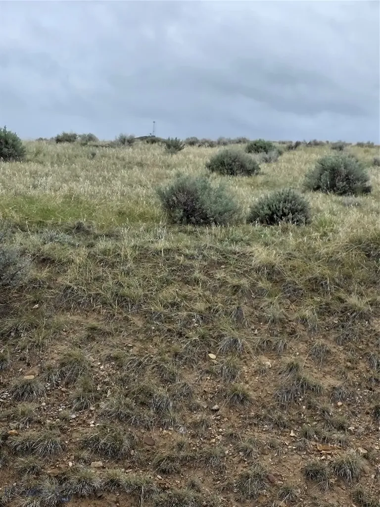 710 Gamblers Run Dillon MT 59725