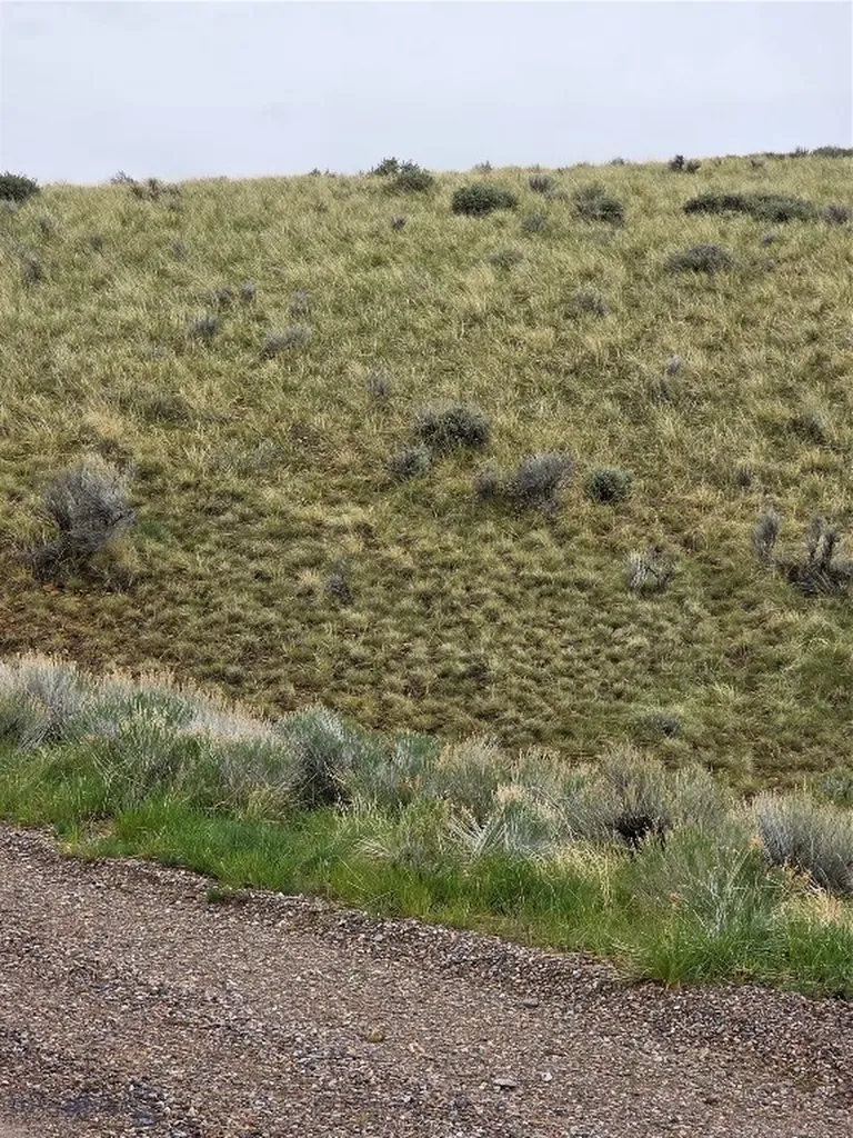 710 Gamblers Run Dillon MT 59725