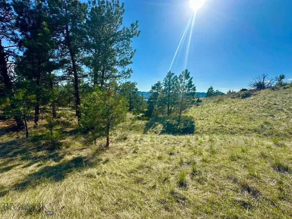 3940 Northstar Court Helena MT 59602