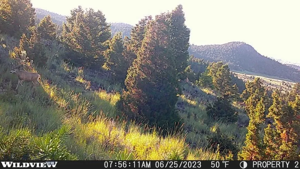 Lot 74 Pony Expressway Trail Ramsay MT 59748