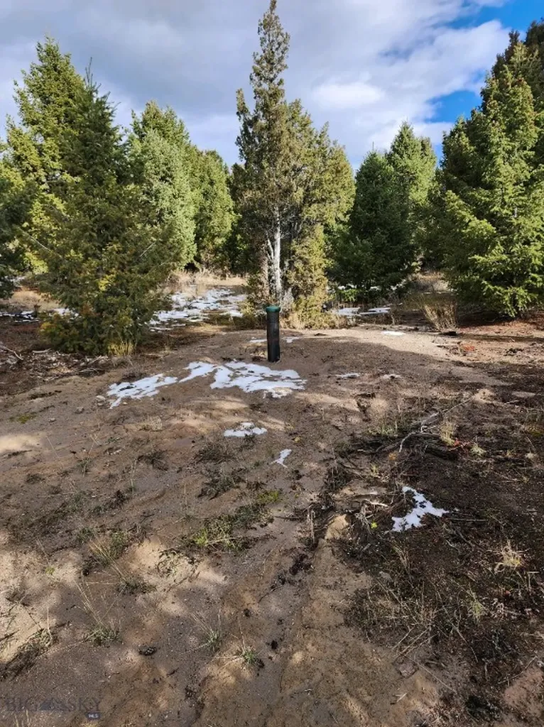 Lot 74 Pony Expressway Trail Ramsay MT 59748