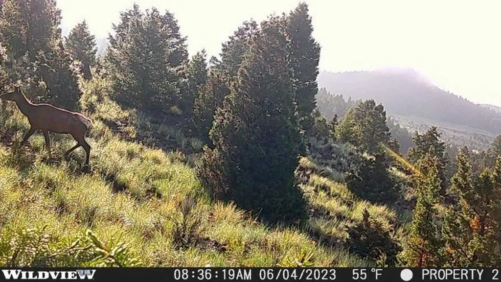 Lot 74 Pony Expressway Trail Ramsay MT 59748