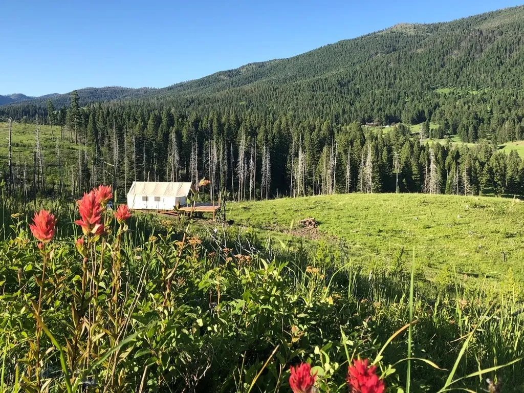 11540 Taiga Trail Bozeman MT 59715