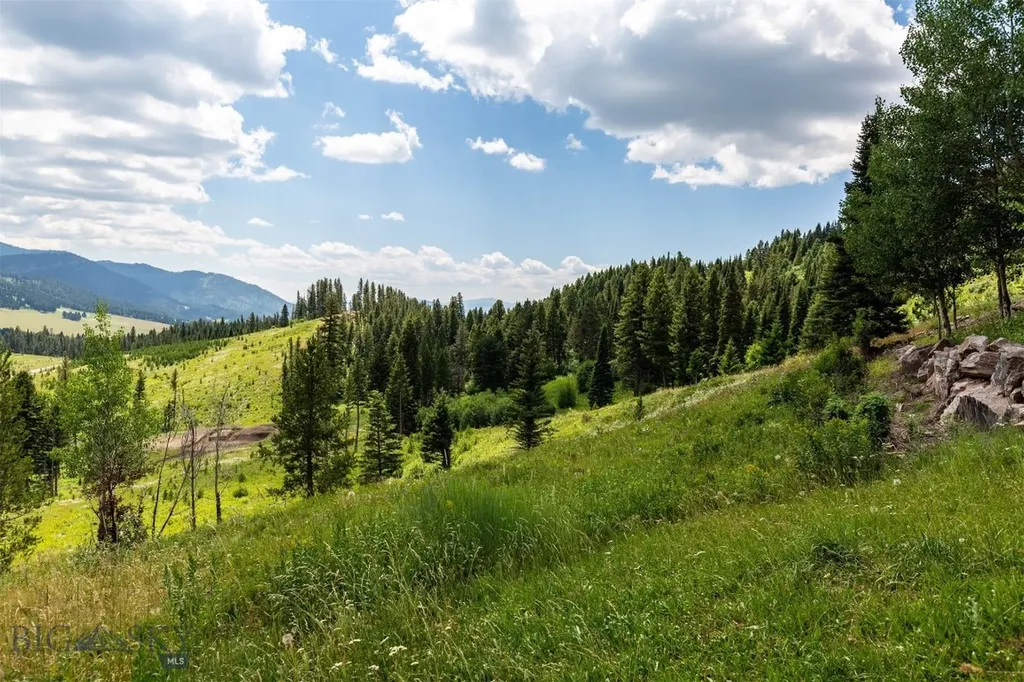 11540 Taiga Trail Bozeman MT 59715