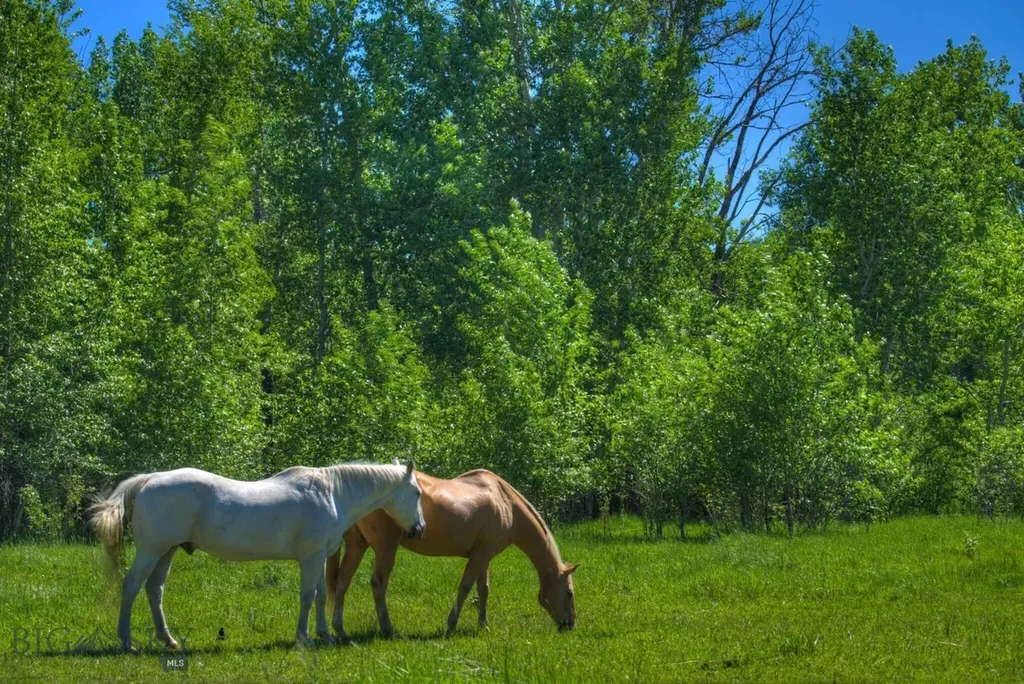 13830 (Tract B) Cottonwood Road Bozeman MT 59718