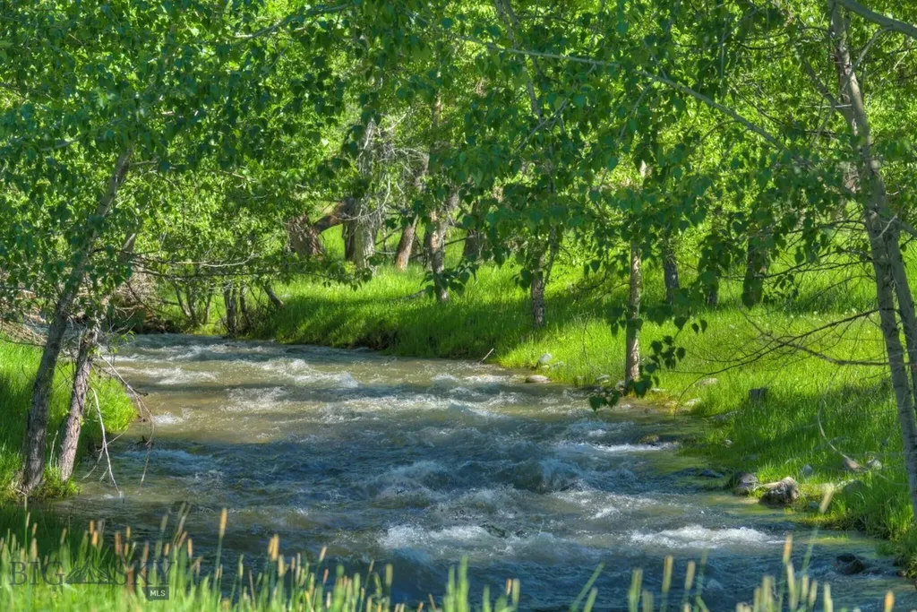 13830 (Tract B) Cottonwood Road Bozeman MT 59718