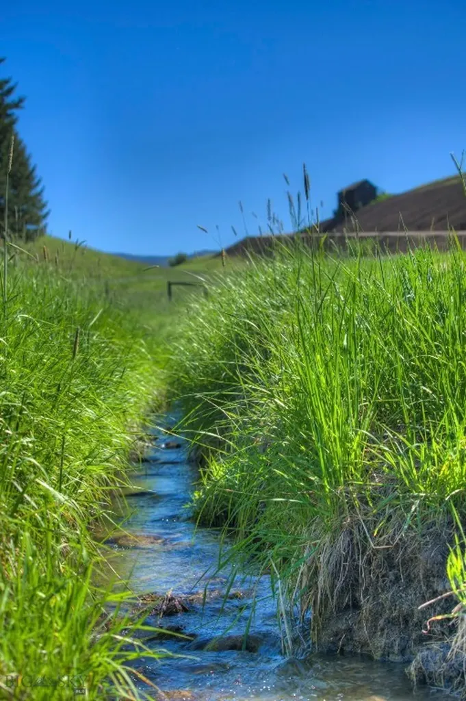 13830 (Tract B) Cottonwood Road Bozeman MT 59718