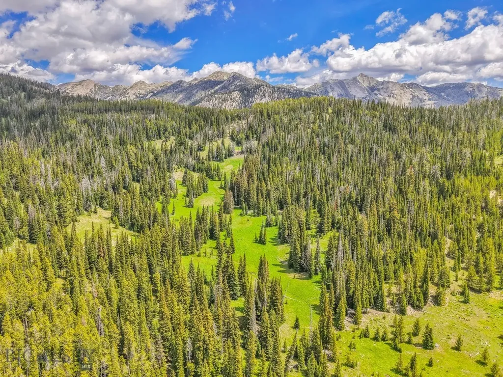 Nhn Beehive Basin Road Big Sky MT 59730