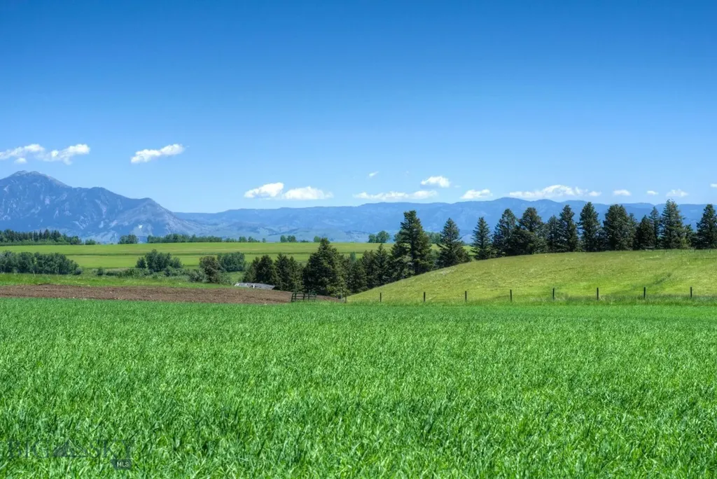 13830 (Tract D) Cottonwood Road Bozeman MT 59718